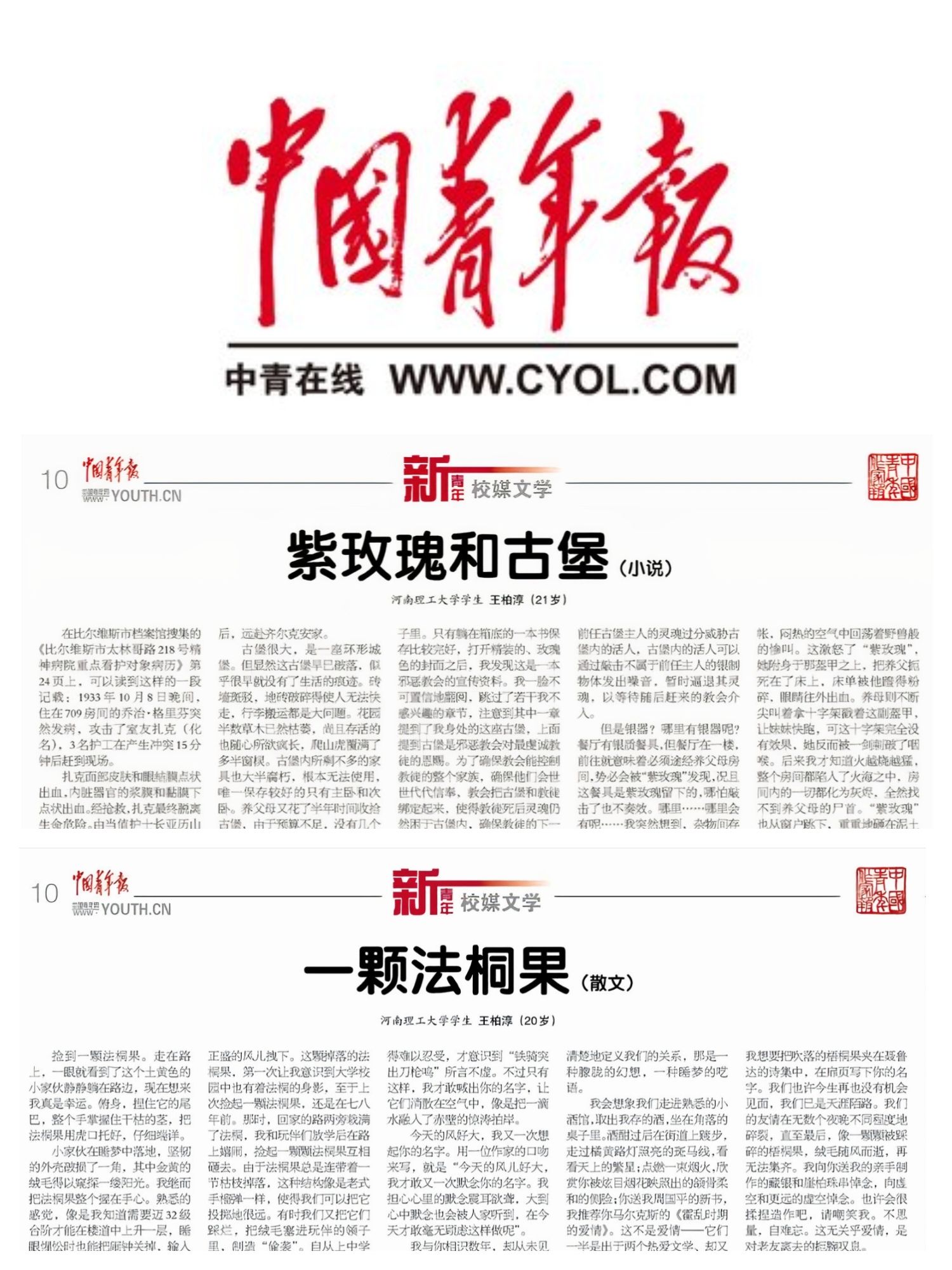 中国青年报文学版.jpg