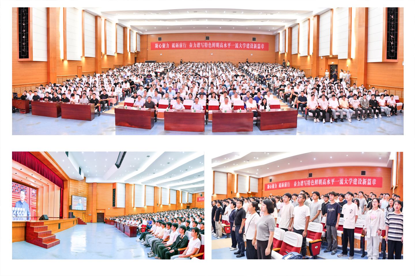 现场掠影.jpg