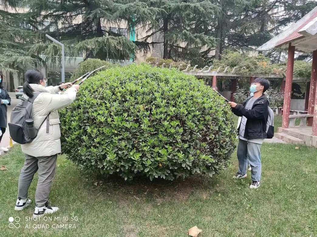 2625446942870999 blob.png